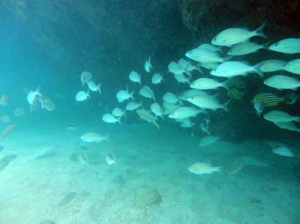Kitnet Sabrinna Maceió Extérieur photo
